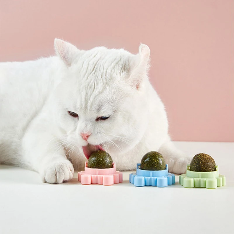 

Аксессуары для жевательных игрушек для кошек с вращением на 360 °