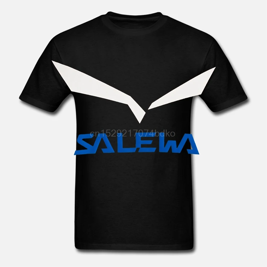 Футболка с логотипом Salewa Solidlogo Dri-Rel SS |