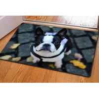 40x60cm vintage door mat cute dog 3d print floor mat rugs for living room non slip doormats for outdoor bathroom kitchen carpets