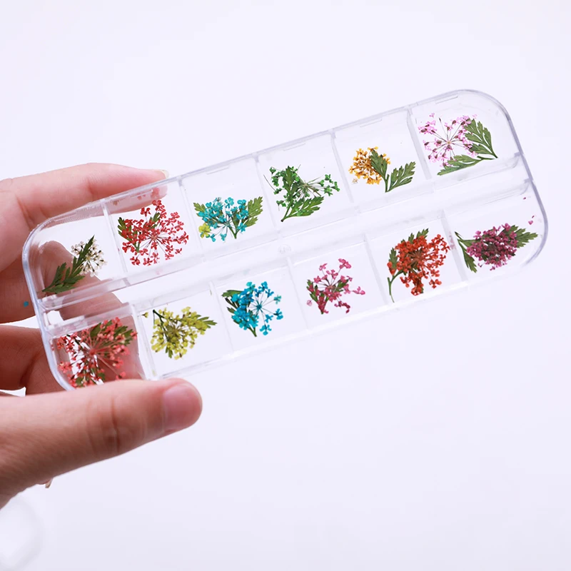 1 коробка красочные цветочные натуральные засушенные цветы смешанные узоры 3D