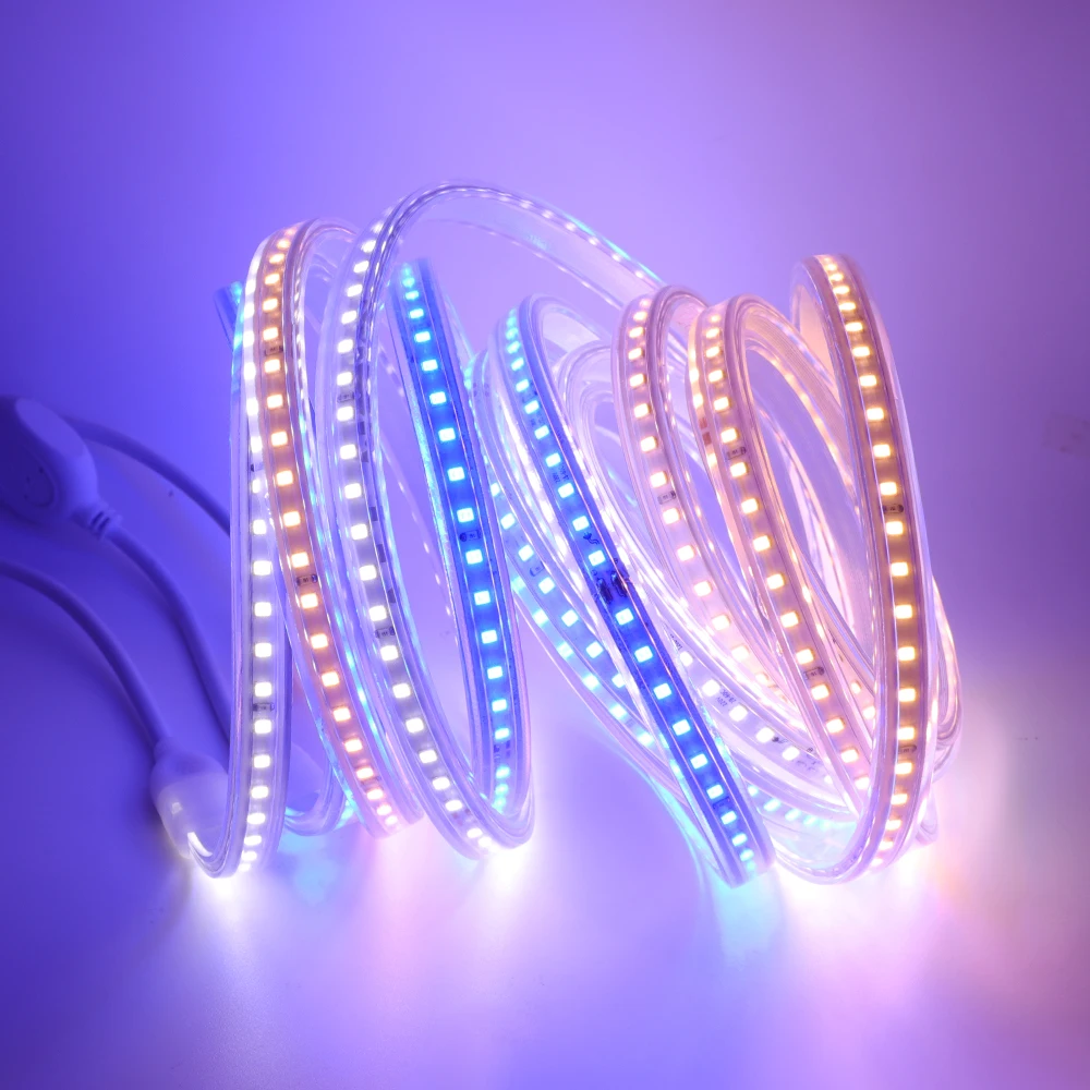 

120LED/m LED Strip Light 220V 2835 Waterproof High Safety High Brightness Flex LED Ribbon with ON/OFF Switch Power Plug