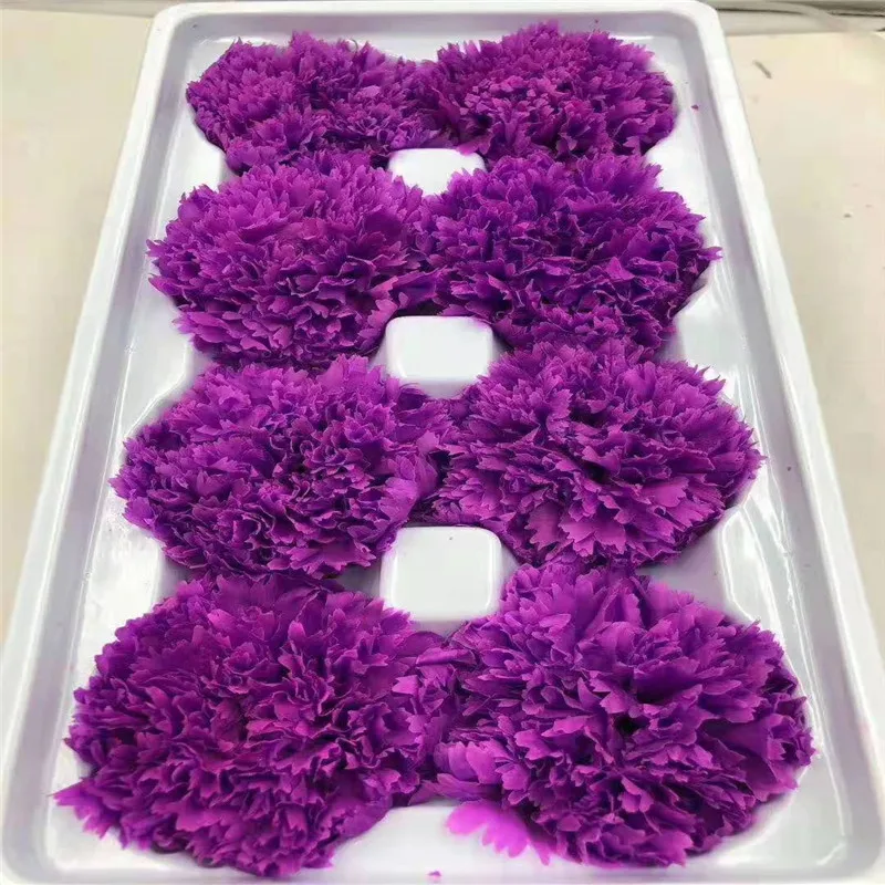 

Wholesale High Quality Beautiful Preserved Forever Fresh Carnation Head Flower Decoration Material