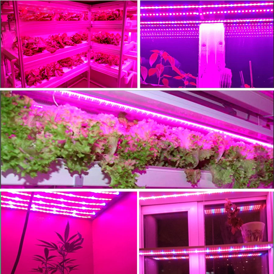 

5M Full Spectrum LED Strip Light Greenhouse Hydroponic Plant Grow Lamp With Power Adapter 300 LEDs 5050 Lighting