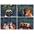 YI яркий DIY квадратные алмазов картина Собака Картина 5D мозаика с вышивкой в виде животных ручной работы искусство украшения дома