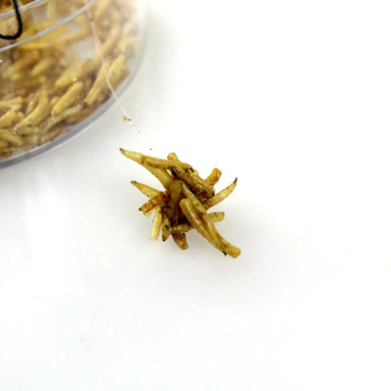 Wifreo 1 упаковка чистых сухих личинок для рыбалки/питательная приманка рыбы с