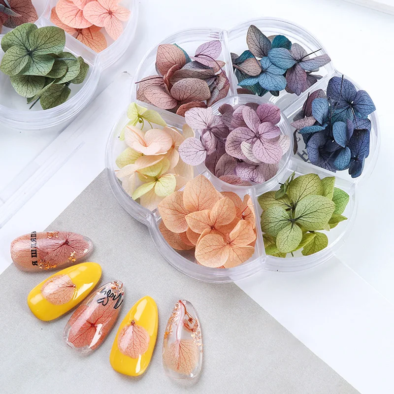 1 коробка красочный сохраненный свежий цветок Дизайн Ногтей Сушеный Цветок