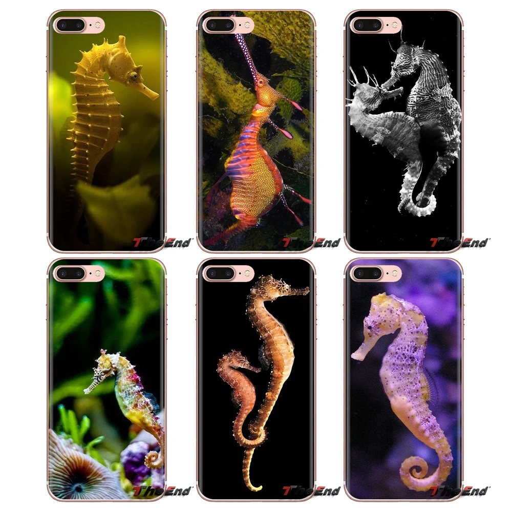 sea horse Rainbow Seahorse Mobile Phone Case Cover For LG G3 G4 Mini G5 G6 G7 Q6 Q7 Q8 Q9 V10 V20 V30 X Power 2 3 K10 K4 K8 2017 |