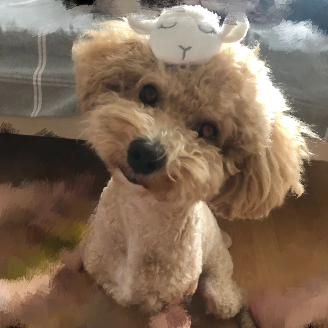 Kawaii овец спящего лица брошь с овцой плюшевая кукла заколка для волос белого и