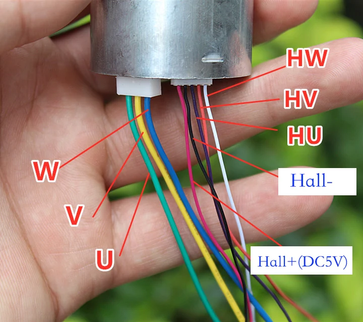 Миниатюрный маленький бесщеточный электродвигатель постоянного тока 6 в 9 12 В 36