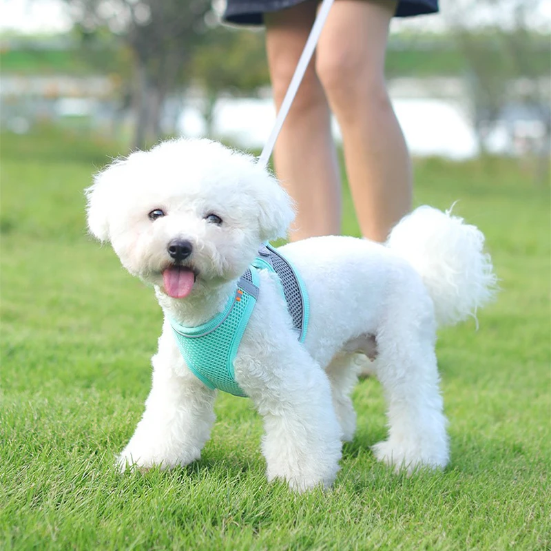 Регулируемый поводок для собак жилетка щенков и кошек прогулок на свежем воздухе