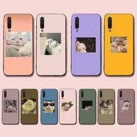 cute cat phone case for xiaomi mi 5 6 8 9 10 lite pro se mix 2s 3 f1 max2 3
