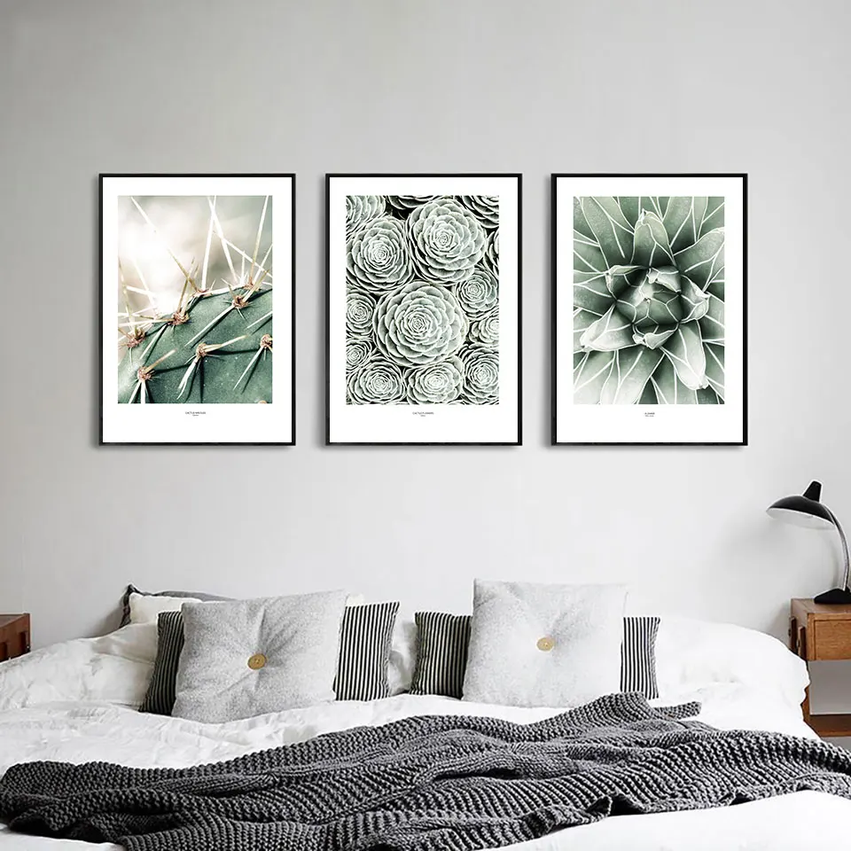 Плакат с суккулентами настенное искусство природный пейзаж холст живопись