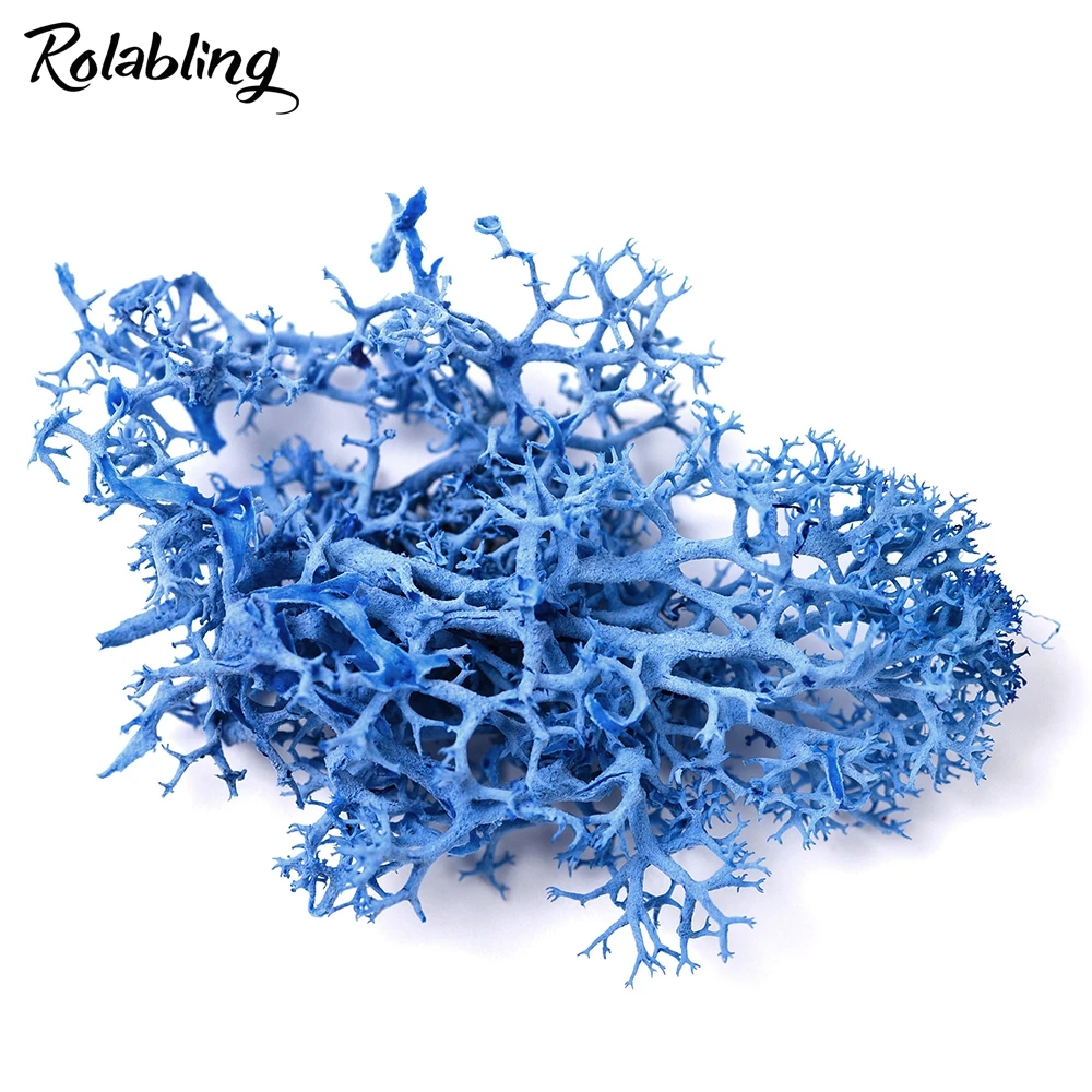 Rolabling 1 упаковка сушеные морские водоросли украшения для ногтей красочные 3d