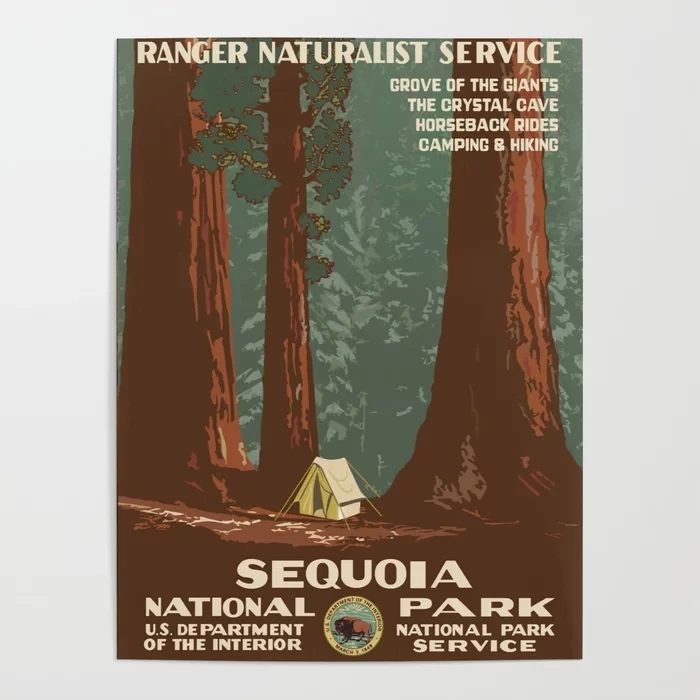 Принты для домашнего декора живопись высокой четкости изображения Sequoia National Parkx