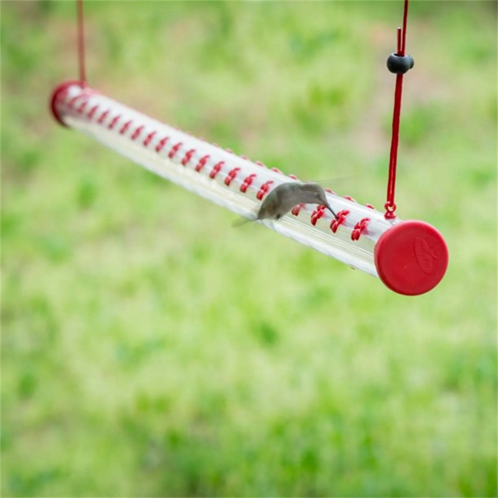 

Best Hummingbird Feeder With Hole Birds Feeding Transparent Pipe Easy To Use Household Garden Feeding Supplies With Hole