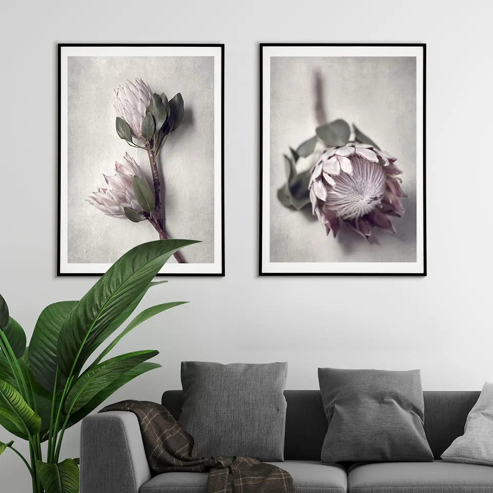 Protea скандинавские цветы плакат фотография холст Картина Настенная