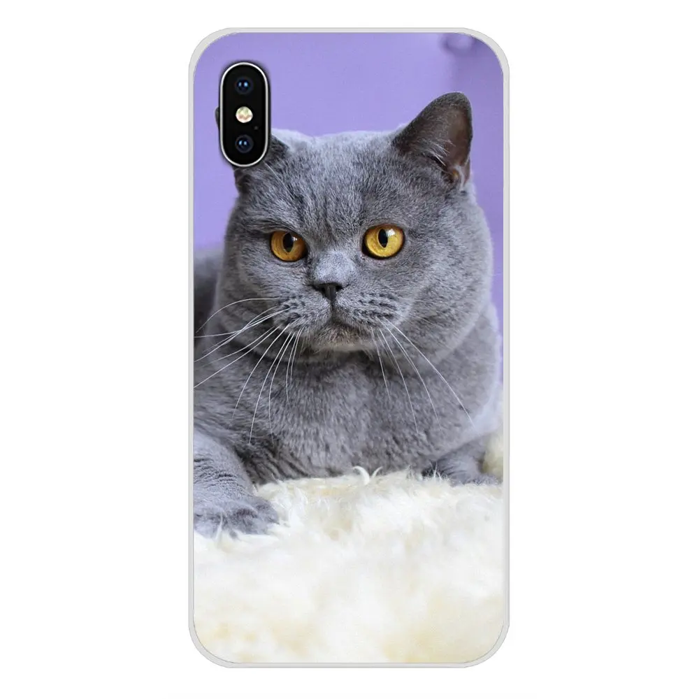 images 2 Для Apple IPhone X XR XS 11Pro MAX 4S 5s 5C SE 6S 7 8 Plus ipod touch 5 6 Британский короткошерстный Кот Топ дизайн силиконовые чехлы - Цвет: images 2