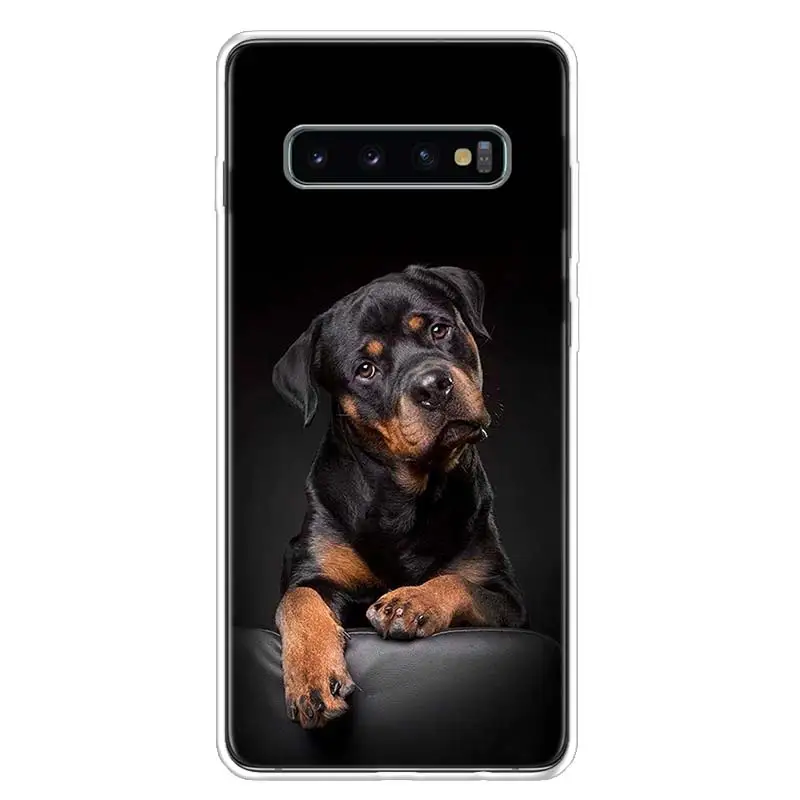 Милый чехол для телефона ротвейлера с собакой Samsung Galaxy S20 FE S21 S22 Ultra S10 Lite S9 S8 Plus S7 Edge