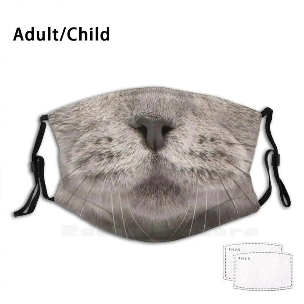 Маска для лица с фильтром Pm2.5 взрослых и детей | Аксессуары одежды