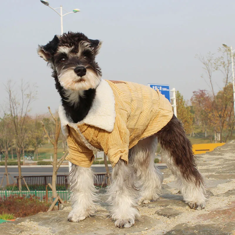 

Одежда для собак Unibull, зимнее пальто для щенков, куртка для маленьких и средних собак, утепленная теплая толстовка для чихуахуа, йоркширских ...