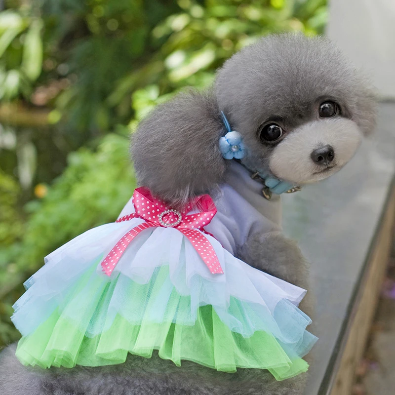 Новинка одежда для домашних животных платье собаки губы Милая Пряжа юбка