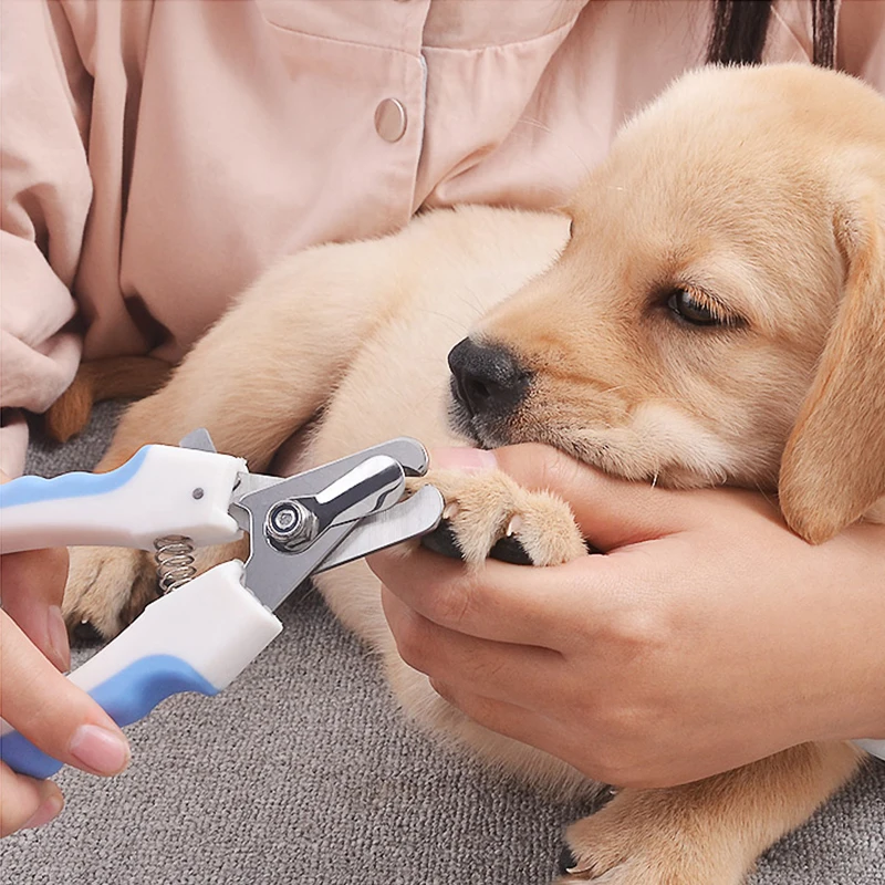 

Labor-Saving Stainless Steel Professional Nail Scissors For Cats Dogs Hamsters Pet Grooming Cleaning Supplies