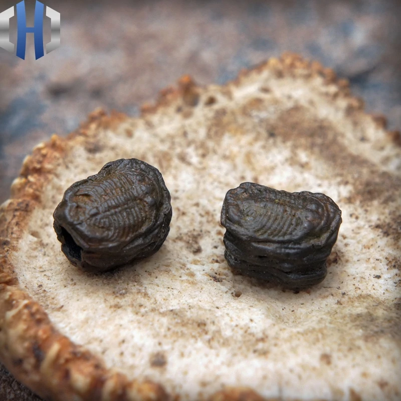 Оригинальный подвесной нож Trilobite Fossil индивидуальные бусы на веревочке в стиле