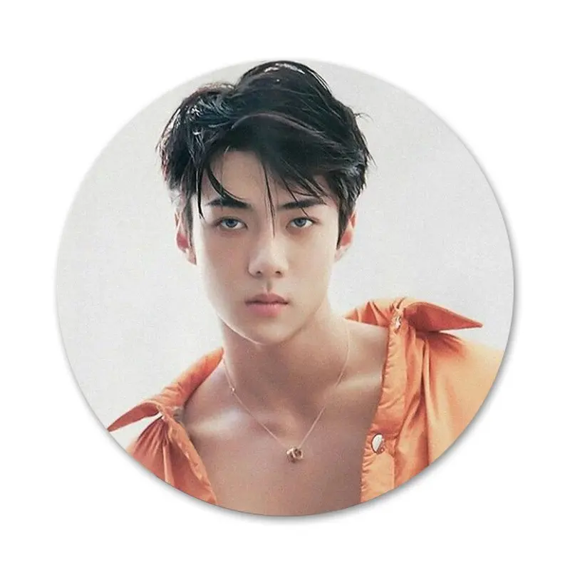 SEHUN CHANYEOL EXO Badge Brooch Pin Accessories For Clothes Backpack Decoration gift |