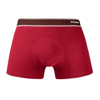 mens underwear graphene antibacterial boxer shorts youth shorts