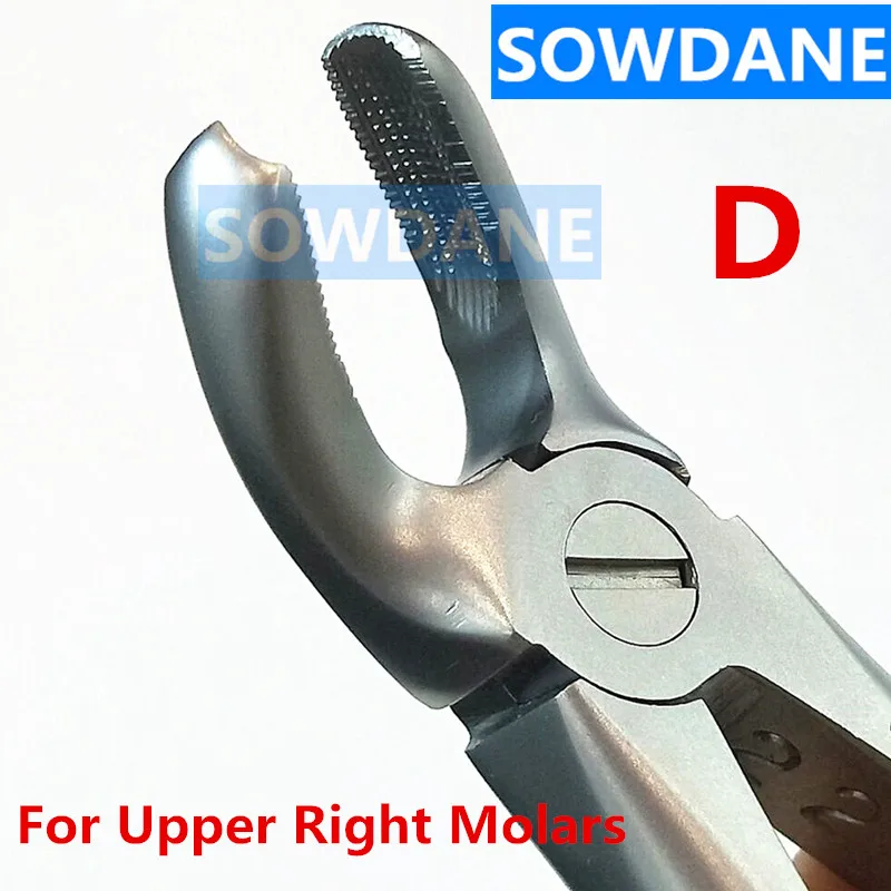 1 piece D Германия Высокое качество нержавеющая сталь Стоматологическая взрослая извлечение зубов плоскогубцы Forcep стоматологический ортодонтический хирургический инструмент - Цвет: 1 piece D