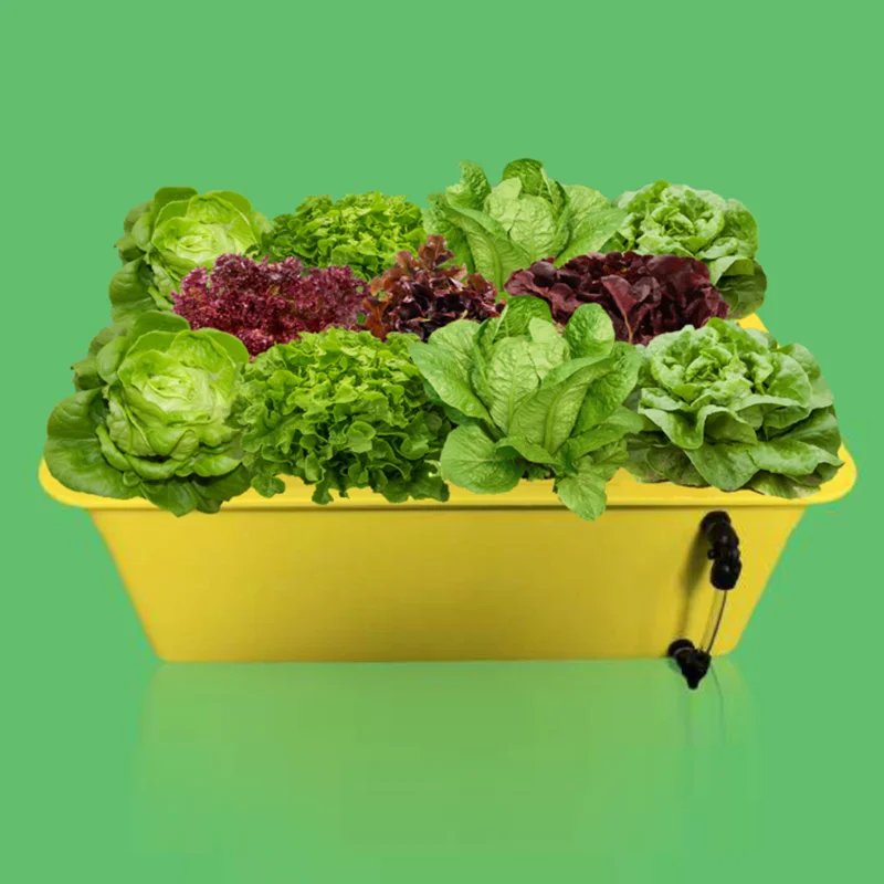 Садовый горшок для гидропоники с 8 отверстиями выращивания растений комнатное