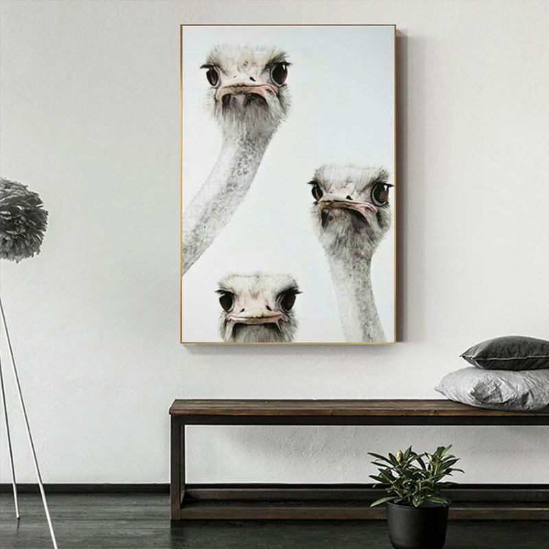 Постеры HD Печать на холсте животные птицы картины стену искусство страусы для