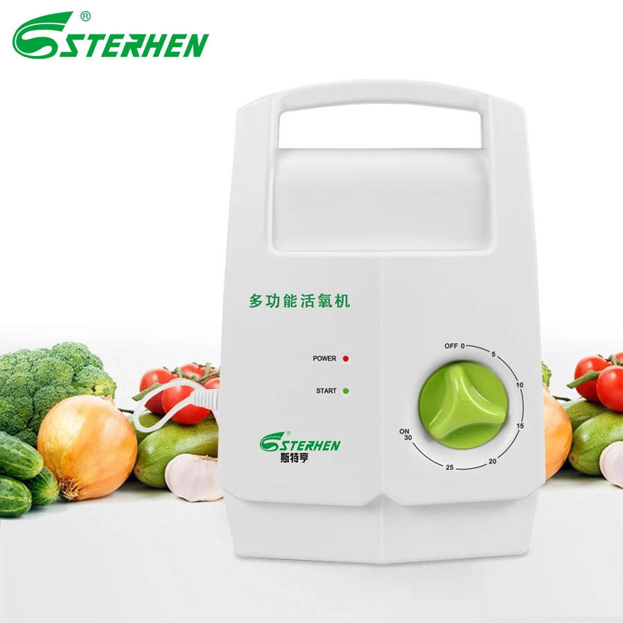 Sterhen Ozone Generator Vegetable Sterilizer Ozone Disinfector Air Purifier Ozone Output 400mg/h