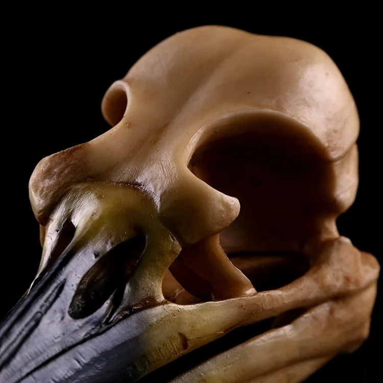 Птица динозавр искусственное изделие украшение для дома животное Череп модель