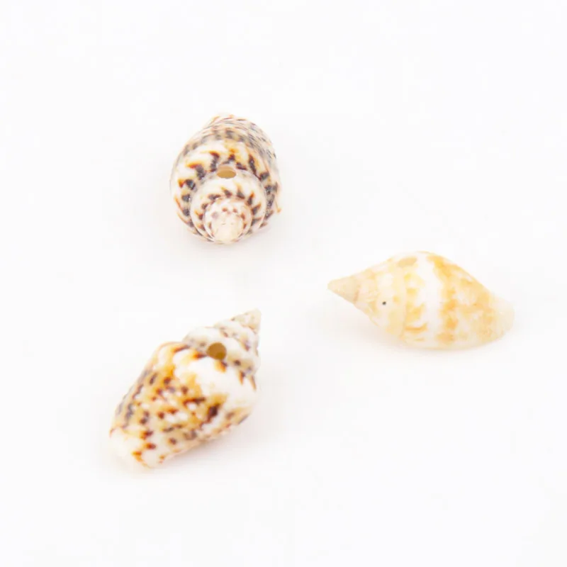Натуральная спиральная ракушка с леопардовым узором Concha Do Mar товары для