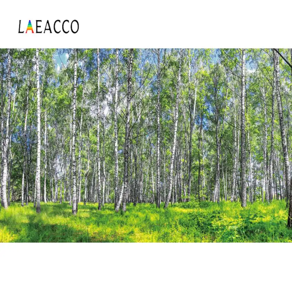 Laeacco зеленая трава дерево утро Солнечный свет лесной парк природные живописные