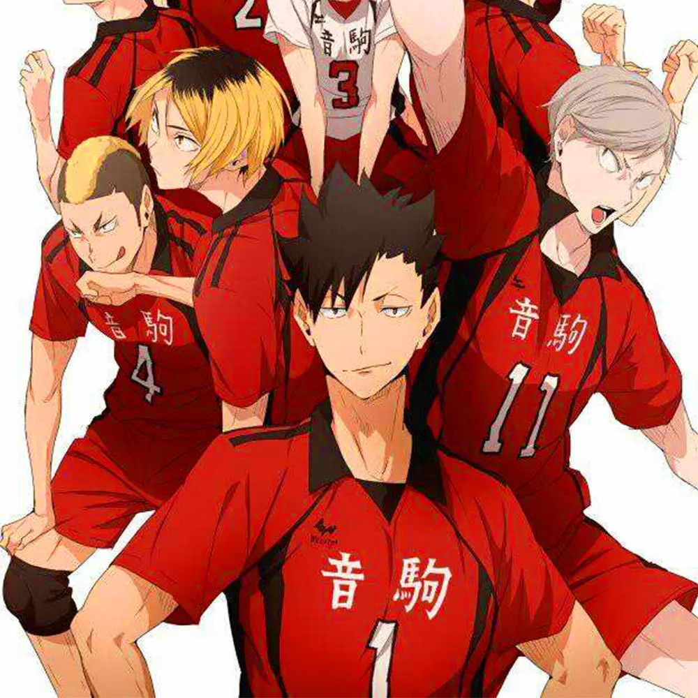 

GAMPORL Japanese Anime Clothing Haikyuu! Hinata Shyouy Cosplay Costumes Karasuno High School Sportswear Volleyball Jersey Outfit