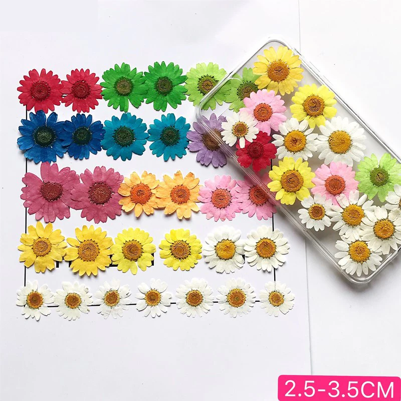 12 шт. в упаковке сушеные прессованные белый Дейзи цветок для эпоксидной смолы ювелирные изделия аксессуары