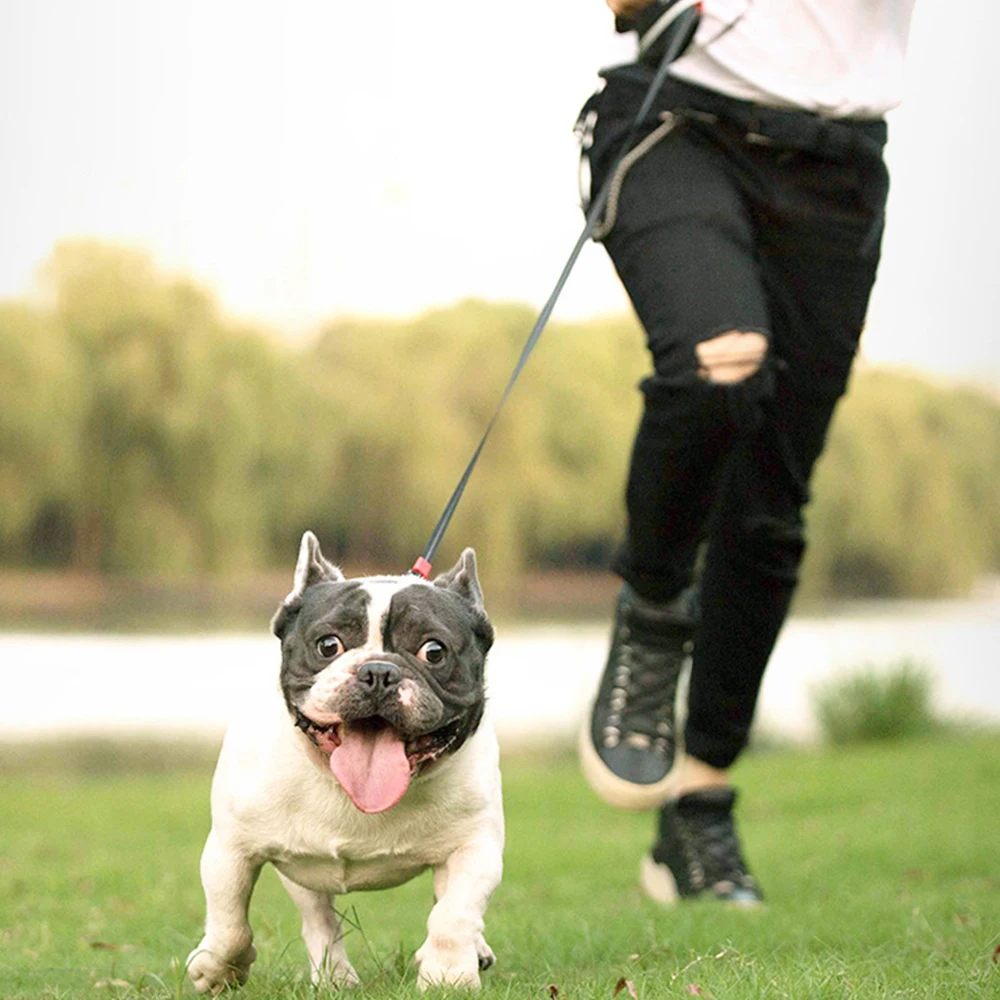 

Dog Leash Rope Retractable Dog Leash Automatic Flexible Dog Puppy Cat Big Dog Walking Leash Leads Automatic Extending Perros