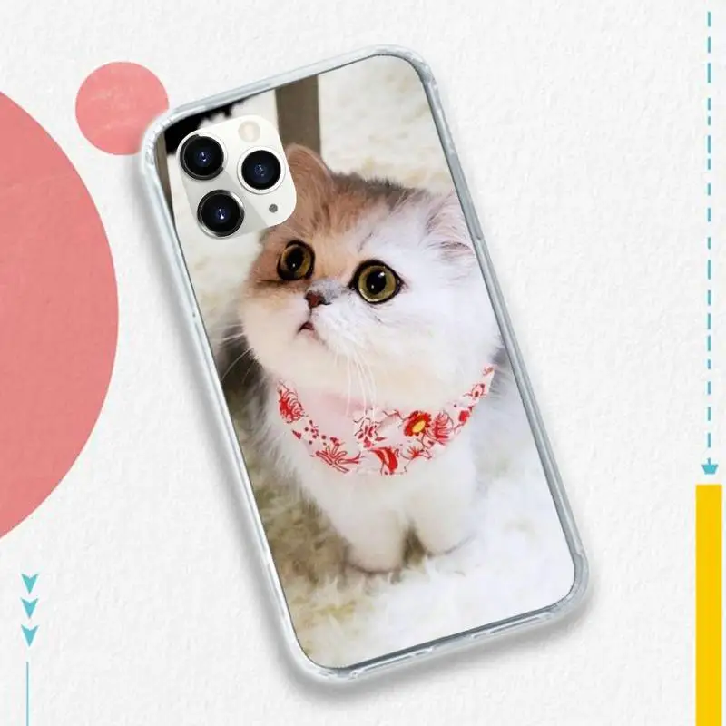 

Animal Cat cute pattern mobile Phone Case for iPhone 11 12 pro XS MAX 8 7 6 6S Plus X 5S SE 2020 XR