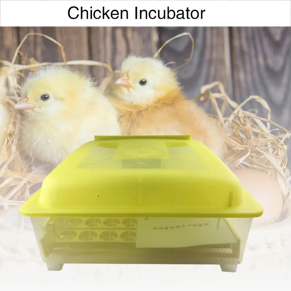 Incubator with Power Supply EW-56 Automatic Hatcher Chicken Duck Goose Bird Animal Husbandry 56Eggs | Дом и сад