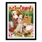 Алмазная картина 5D DIY Алмазная картина полная квадратная вышивка стразами рисунков животных собак Алмазная круглая Новое поступление 129DD