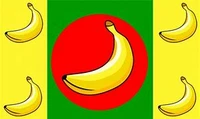 election 90x150cm banana republic flag