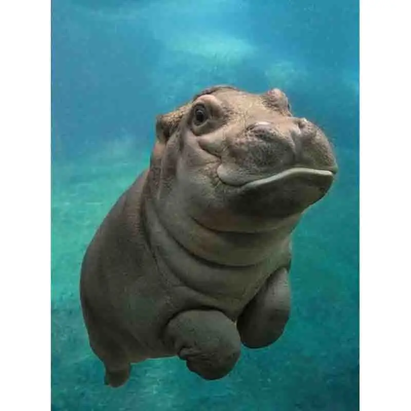 Алмазная живопись 5D сделай сам картина с полными квадратными/круглыми стразами