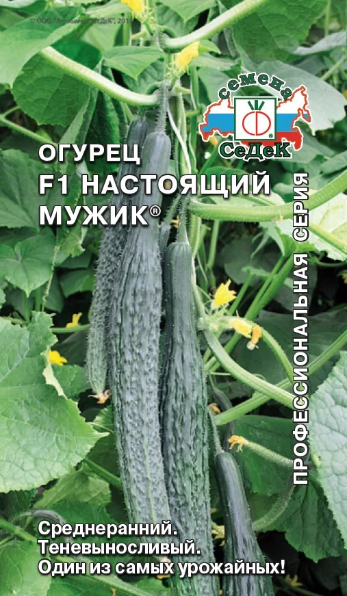Огурец Настоящий мужик F1 0 2гр /10 (цена за один пакет)|Семена| |