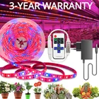 Светодиодная лента для выращивания растений, фитолампа полного спектра для цветов и теплиц, SMD DC 12 В, 20 м 15 м 10 м 5 м, 4:1