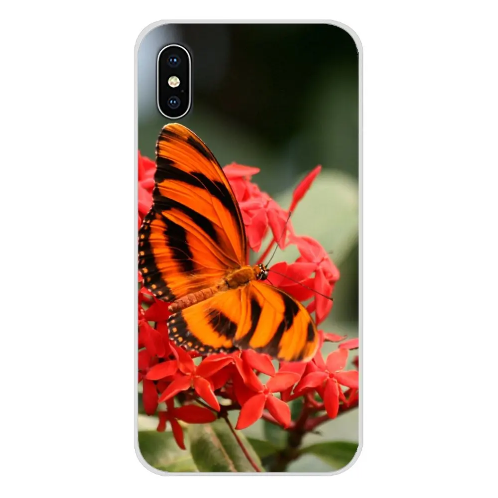 Phone Cases Covers Red butterfly on white roses flower For Apple iPhone X XR XS 11Pro MAX 4S 5S 5C SE 6S 7 8 Plus ipod touch 5 6 | Мобильные