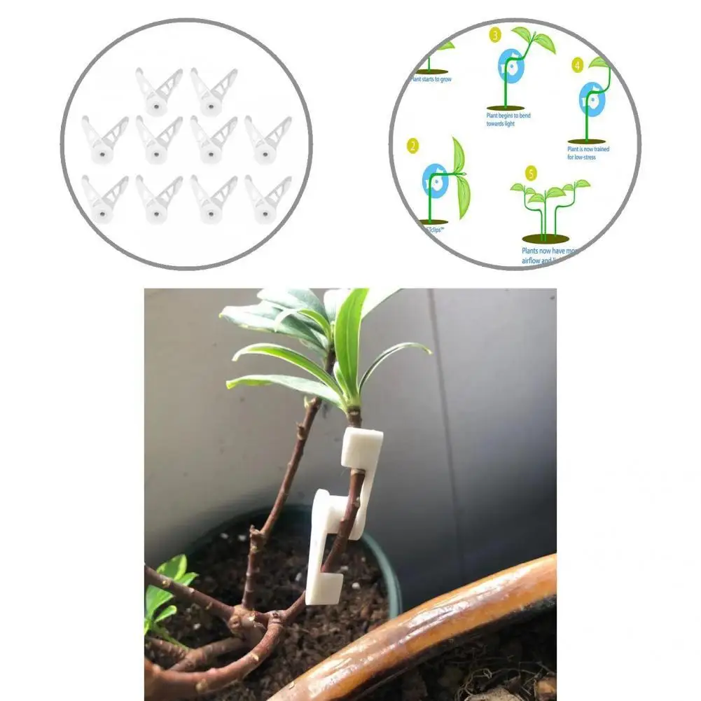 

Plant Trainer Great 360 Degree Branches Benders Plants Low Stress Training Control Tools Reusable Waterproof Plant Clip