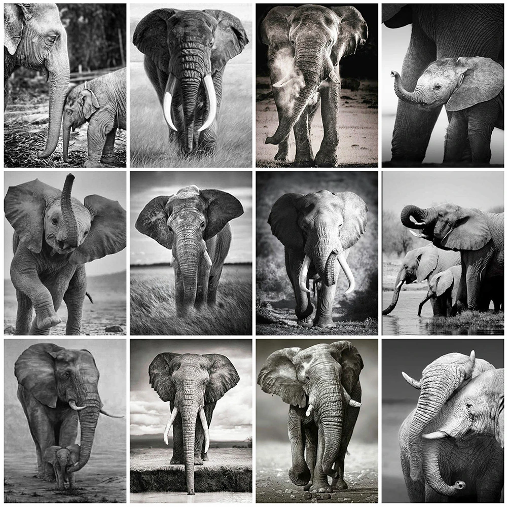 

Evershine Алмазная вышивка слон полная площадь Алмазный мозаика Черный и белый животные 5D DIY вышивка крестом наборы рукоделие