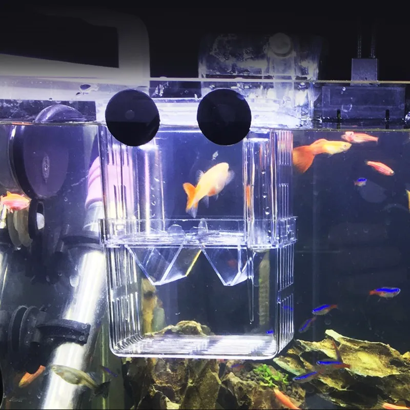 Коробка для разведения Guppy коробка изоляции люка аквариума инкубационная
